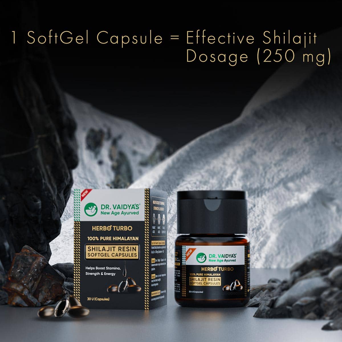 H24T Shilajit Resin SoftGel Capsules + Shilajit Oil FREE